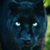 Kee Chesley's profile image