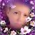 Pamela M Madden-Collins's profile image