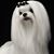 Linda Berry Haas's profile image