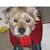 Jeanne Earley McArdle's profile image