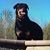 Mary Turner Withem's profile image