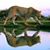 Fahad Eltayeb's profile image