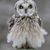 Mary Weigand's profile image
