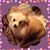 Joann McVay Parker's profile image