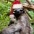 Erin Witte Browning's profile image