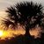 Heather Choate Barry's profile image