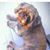 Bonita Walker's profile image
