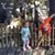 Lily Adams Wasluskas's profile image