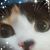 Sandra Frederick's profile image