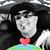 Carlos Gutierrez's profile image