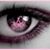 Lauren Sebulsky's profile image