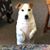 Connie Fagan Noe's profile image