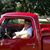 Ray Sieracki's profile image
