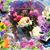 Debra Mell's profile image