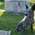 Chris Shrader's profile image