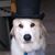 Alice Peek's profile image
