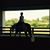 Jody Whalen Brown's profile image
