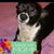 Jackie James's profile image