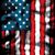 Terri Freiberger's profile image