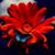 Melody Hoffman's profile image