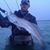 Jamieson Burkett's profile image