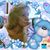 Chiryl Goodman Arnott's profile image