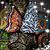 Lynn Celestina Nelson's profile image