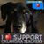 Susan E. Whiteneck's profile image