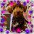 Lori Melsness's profile image