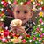 Lori Matti's profile image