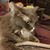 Anita Durkee's profile image