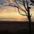 Darrell R. Hubbard's profile image