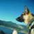 Regie J. Buresh's profile image