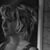 Emily Headrick's profile image