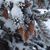Monica Reinhard's profile image