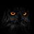 Melissa Erlewine's profile image