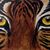 Mary Jo Kohler's profile image