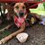 Jenni Mullin-Montore's profile image