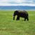 Sebastian Kegel's profile image