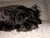 Kathie R.'s profile image