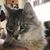 Renae Fuller's profile image