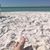 Cindy Parish-Letteer's profile image