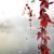 Dawna Wheeler's profile image