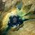 Donna Raleigh's profile image