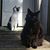 Tammy L. Linton's profile image