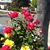 Lesvia Aguilar's profile image