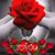 Raquel Gomez's profile image