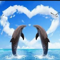 Mike N Kimberly Lukenbill's profile image