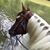 Betsy Miller Cripe's profile image