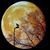 Ani Luna's profile image